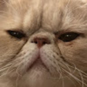 Meet your Posher, Evo